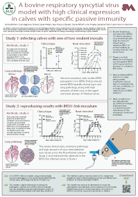 K.Blodorn.2014.BRSV-model.Poster_thumbnail